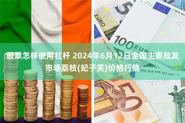 股票怎样使用杠杆 2024年6月12日全国主要批发市场荔枝(妃子笑)价格行情