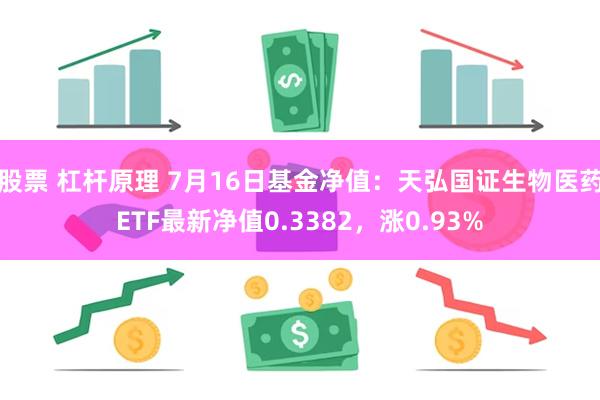 股票 杠杆原理 7月16日基金净值：天弘国证生物医药ETF最新净值0.3382，涨0.93%