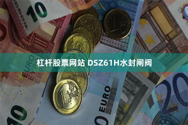 杠杆股票网站 DSZ61H水封闸阀