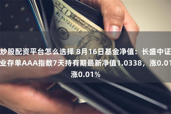 炒股配资平台怎么选择 8月16日基金净值：长盛中证同业存单AAA指数7天持有期最新净值1.0338，涨0.01%