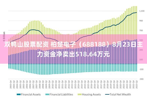 双鸭山股票配资 柏楚电子（688188）8月23日主力资金净卖出518.64万元