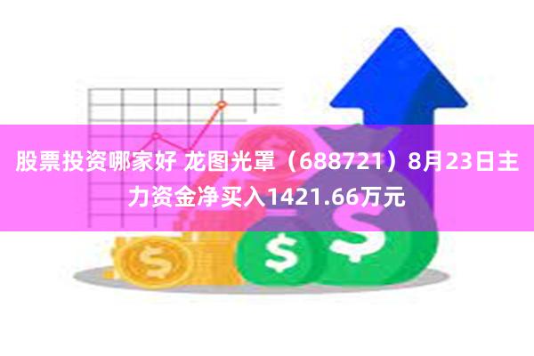 股票投资哪家好 龙图光罩（688721）8月23日主力资金净买入1421.66万元