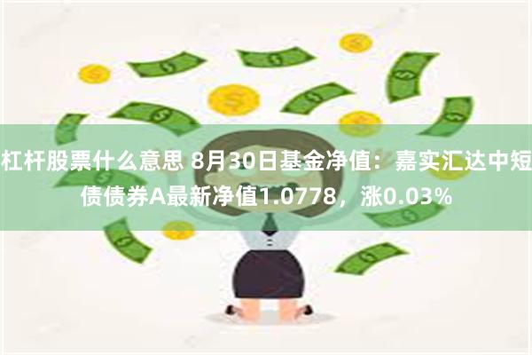 杠杆股票什么意思 8月30日基金净值：嘉实汇达中短债债券A最新净值1.0778，涨0.03%