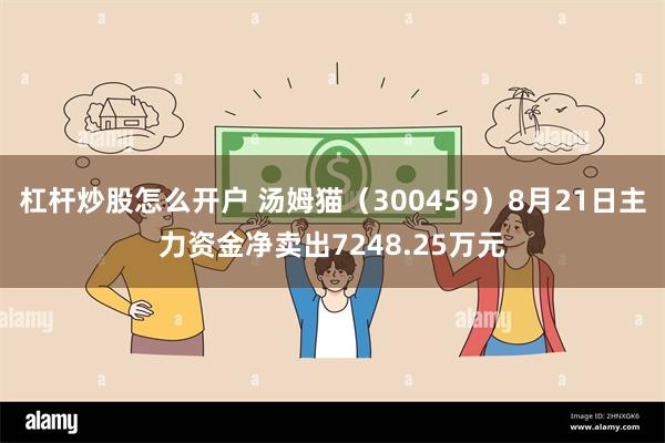 杠杆炒股怎么开户 汤姆猫（300459）8月21日主力资金净卖出7248.25万元