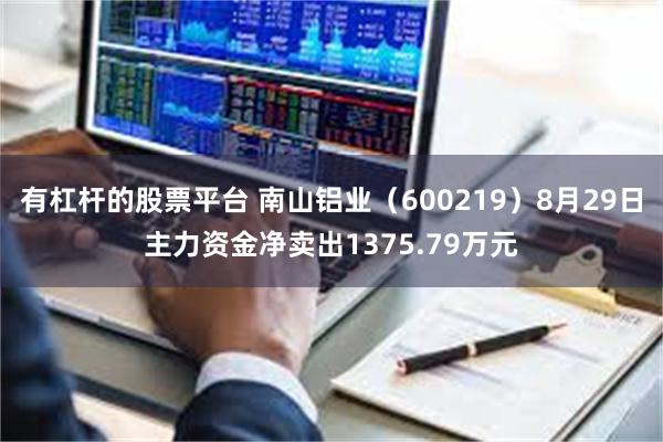 有杠杆的股票平台 南山铝业（600219）8月29日主力资金净卖出1375.79万元