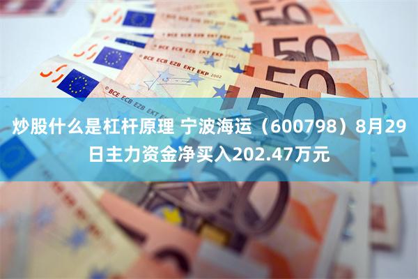 炒股什么是杠杆原理 宁波海运（600798）8月29日主力资金净买入202.47万元