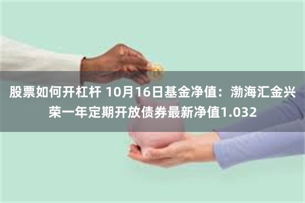 股票如何开杠杆 10月16日基金净值：渤海汇金兴荣一年定期开放债券最新净值1.032