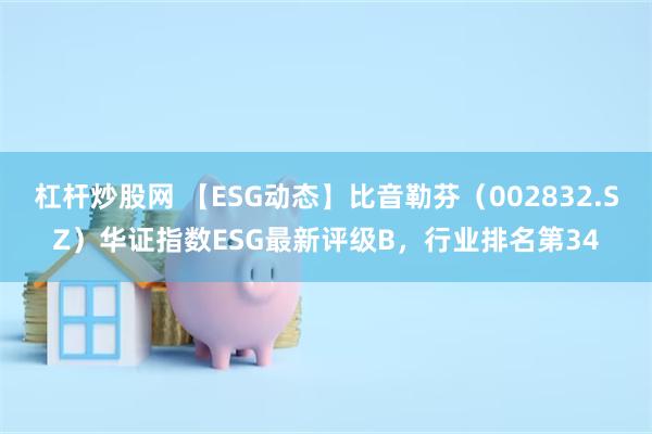 杠杆炒股网 【ESG动态】比音勒芬（002832.SZ）华证指数ESG最新评级B，行业排名第34