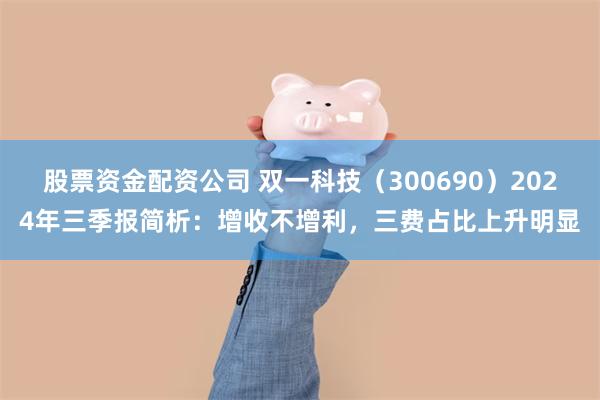 股票资金配资公司 双一科技（300690）2024年三季报简析：增收不增利，三费占比上升明显