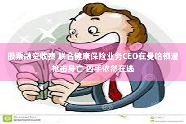 股票融资收费 联合健康保险业务CEO在曼哈顿遭枪击身亡 凶手依然在逃