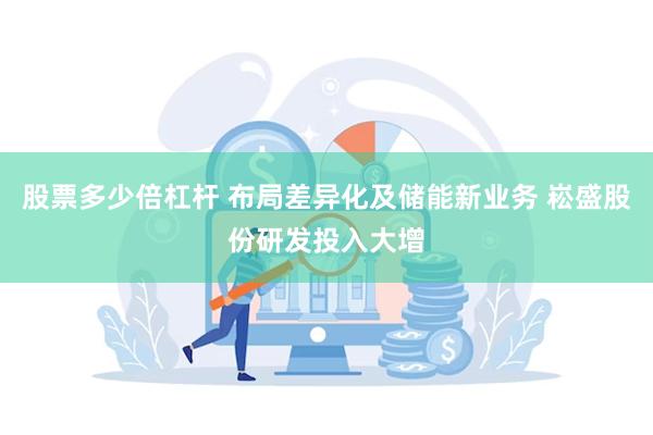 股票多少倍杠杆 布局差异化及储能新业务 崧盛股份研发投入大增