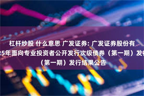 杠杆炒股 什么意思 广发证券: 广发证券股份有限公司2025年面向专业投资者公开发行次级债券（第一期）发行结果公告