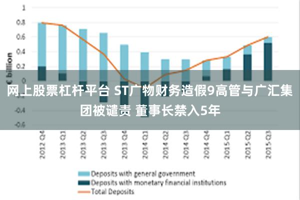 网上股票杠杆平台 ST广物财务造假9高管与广汇集团被谴责 董事长禁入5年